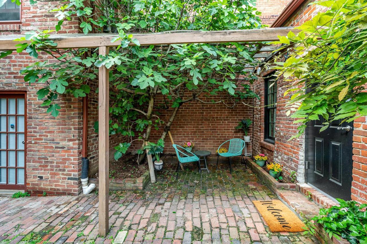 Private Loft Carriage House Walk Score 95 Alexandria Buitenkant foto